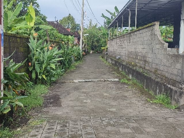 place photo 5