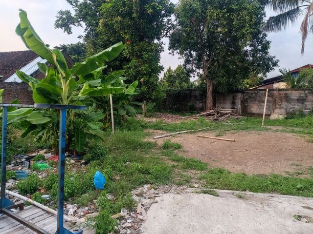 place photo 9