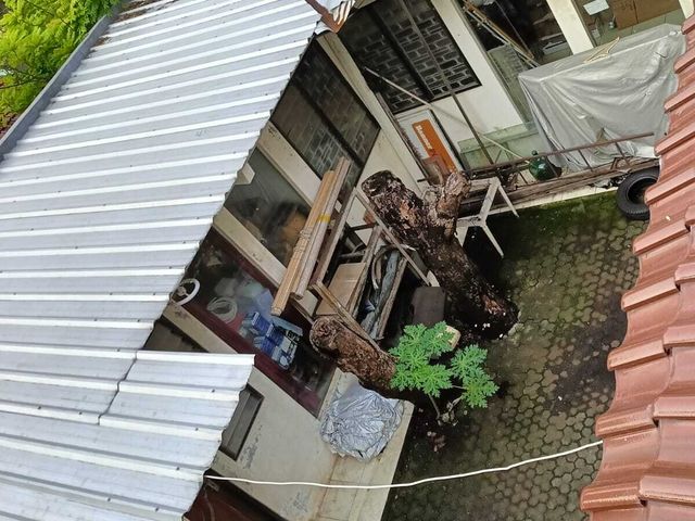 place photo 20