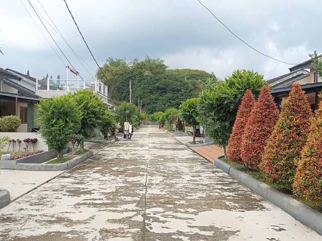 place photo 20