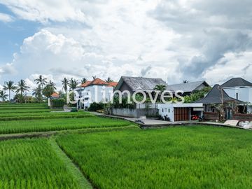 place photo 42