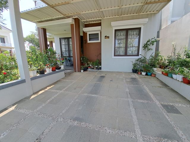 place photo 17