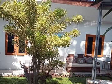 place photo 36