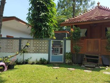 place photo 33