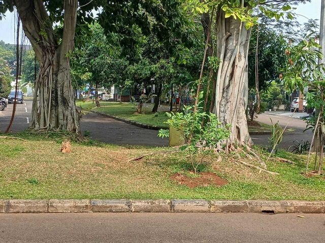 place photo 13