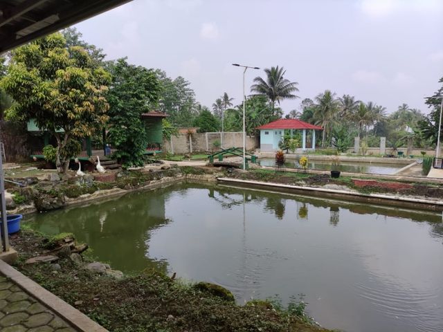 place photo 15
