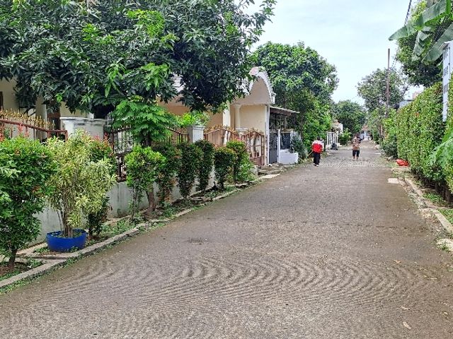 place photo 29