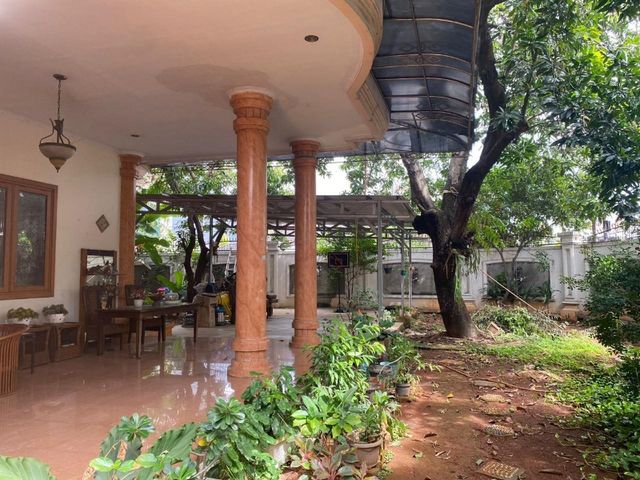place photo 12