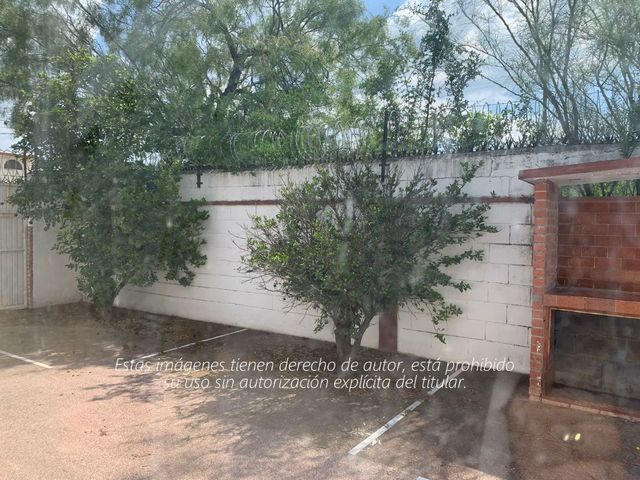 place photo 49