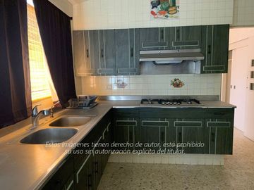 place photo 50