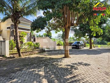 place photo 4