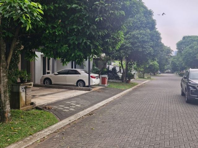 place photo 19