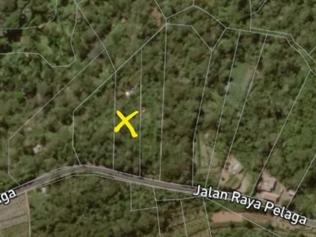 place photo 4