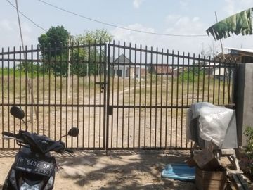 place photo 3