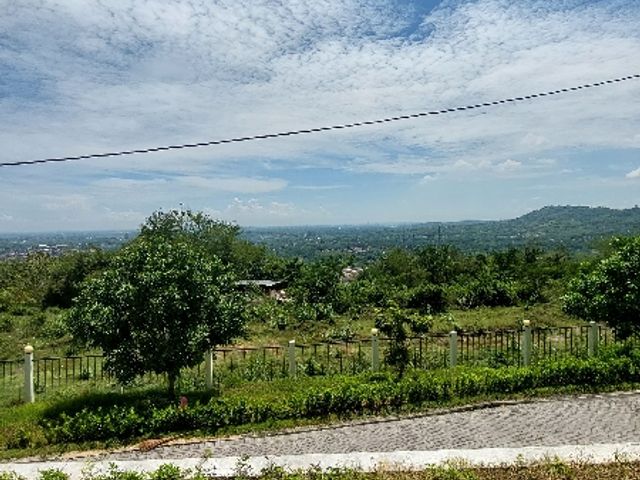 place photo 9