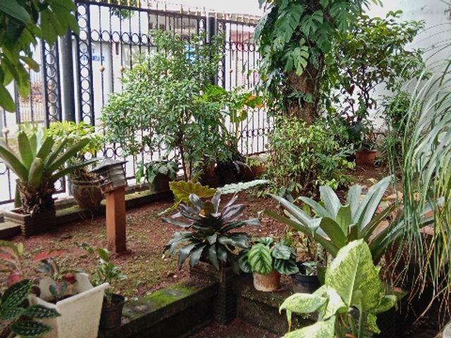 place photo 37