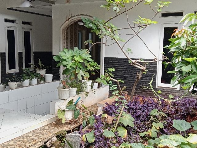 place photo 26