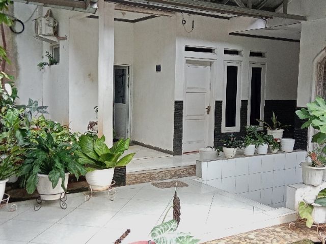 place photo 25