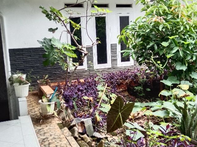 place photo 24