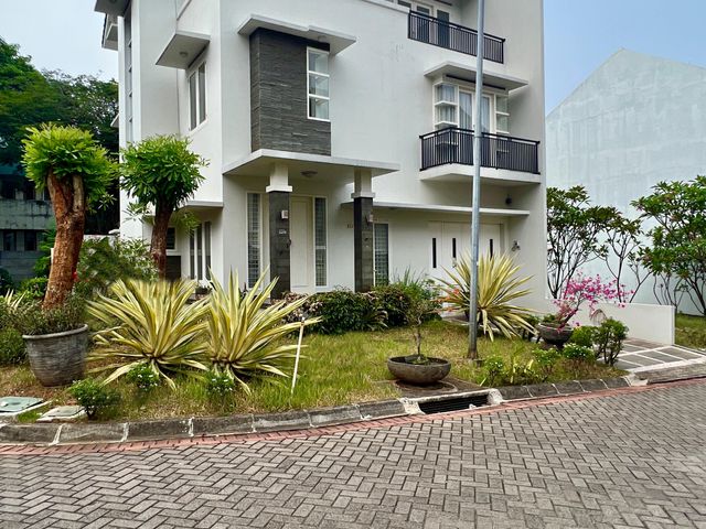 place photo 18