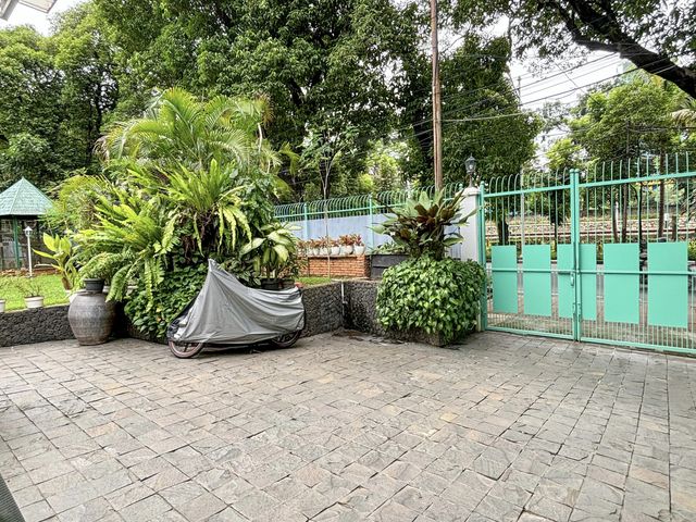 place photo 31