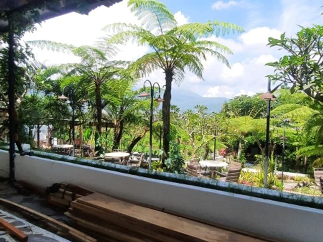place photo 16
