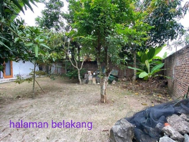 place photo 8