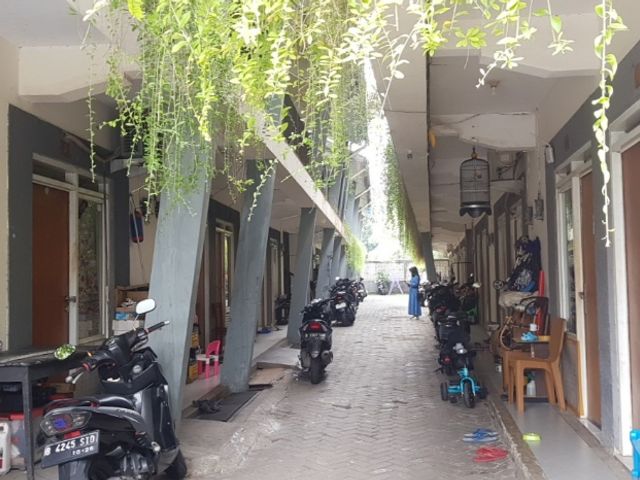place photo 19