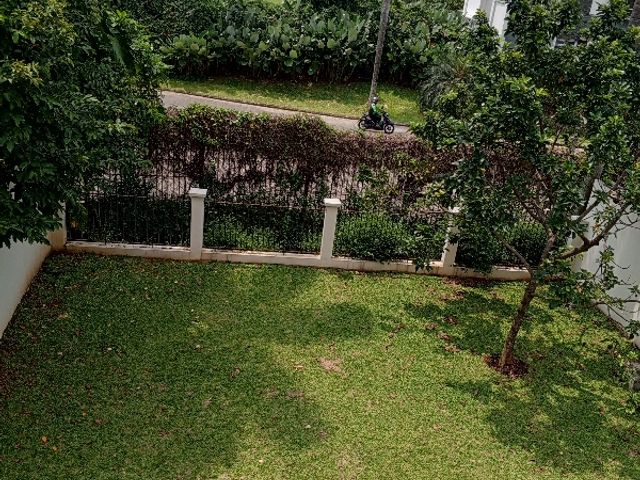 place photo 19