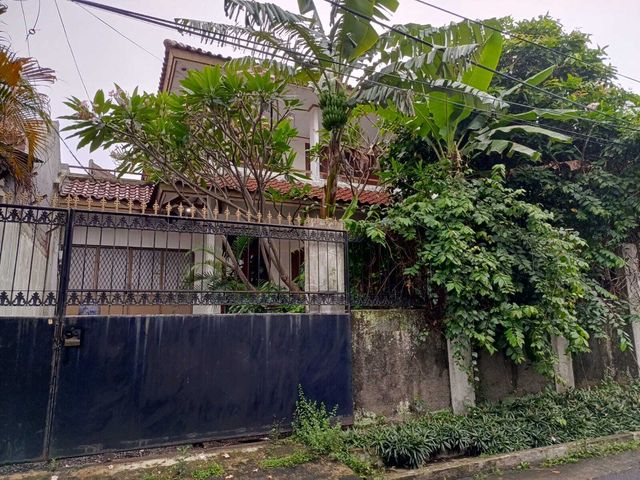 place photo 17