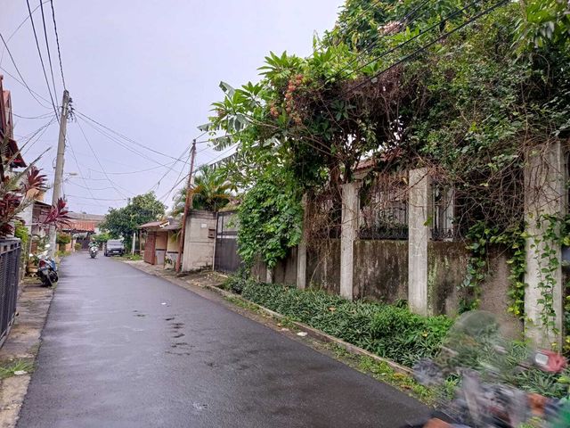 place photo 16