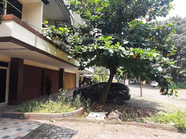 place photo 14
