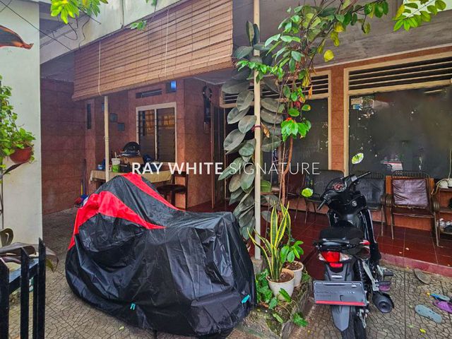 place photo 3