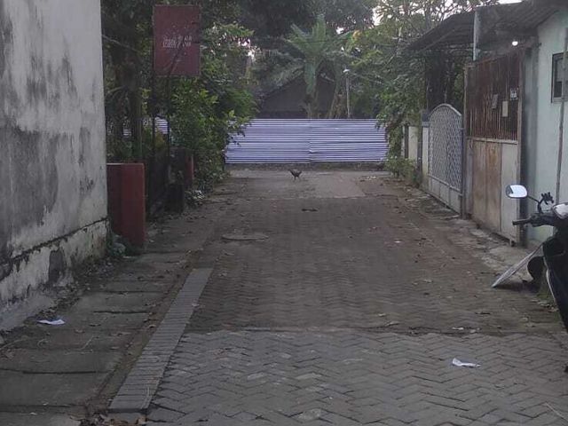 place photo 10