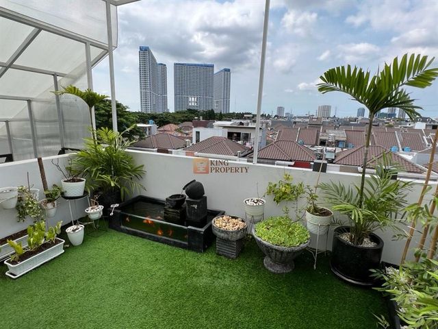 place photo 16
