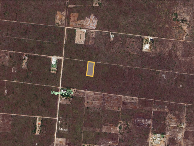 place photo 7