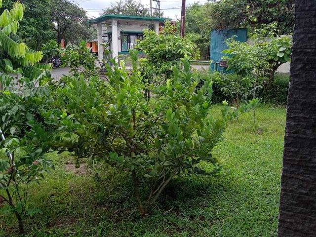 place photo 26