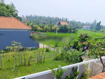 place photo 17