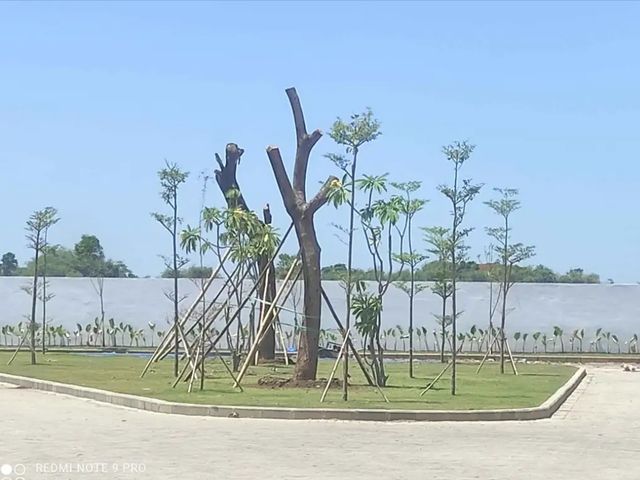 place photo 12