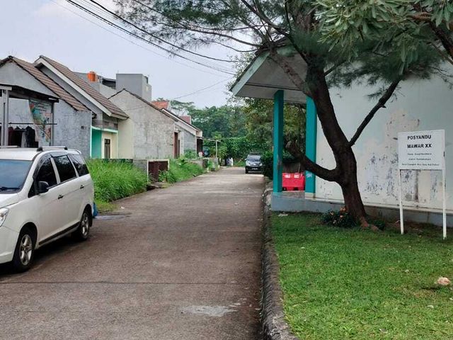 place photo 11