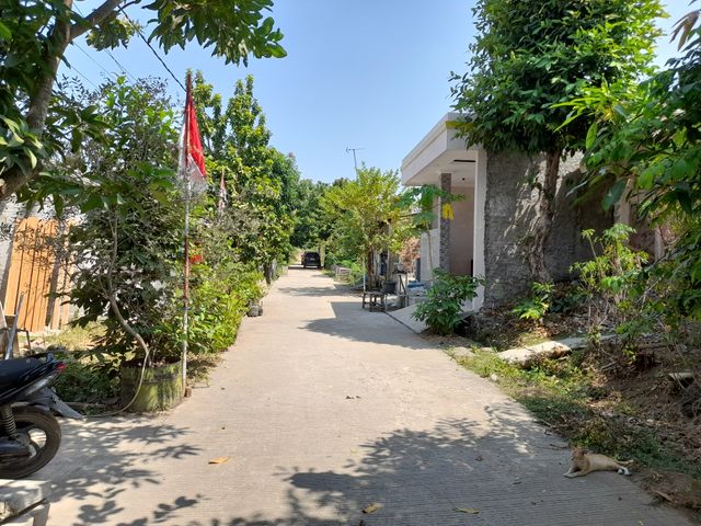 place photo 2