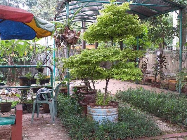 place photo 27