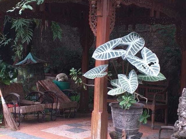 place photo 29