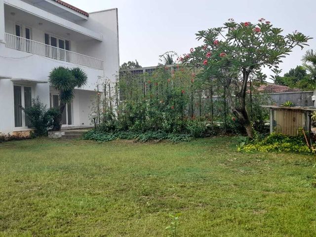 place photo 16