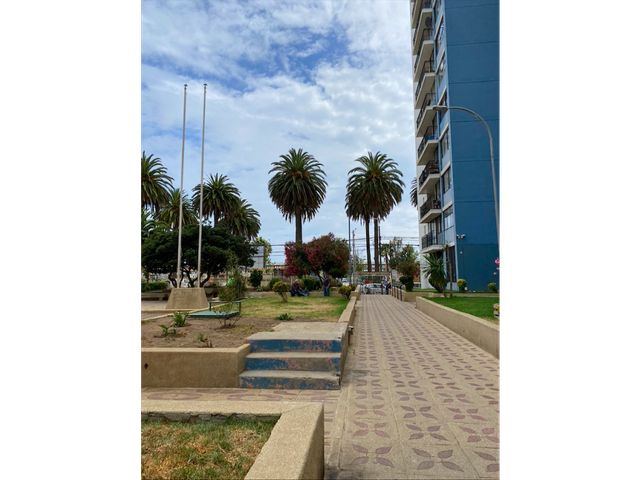 place photo 25
