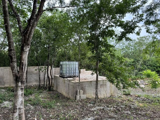 place photo 34