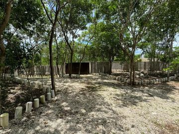 place photo 37