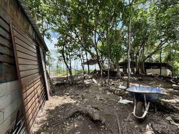 place photo 16