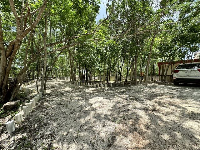place photo 19