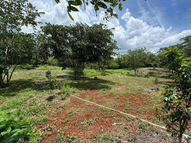 place photo 25